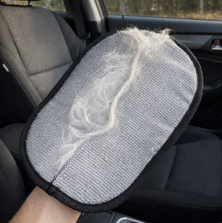 Pet Hair Removal Tool